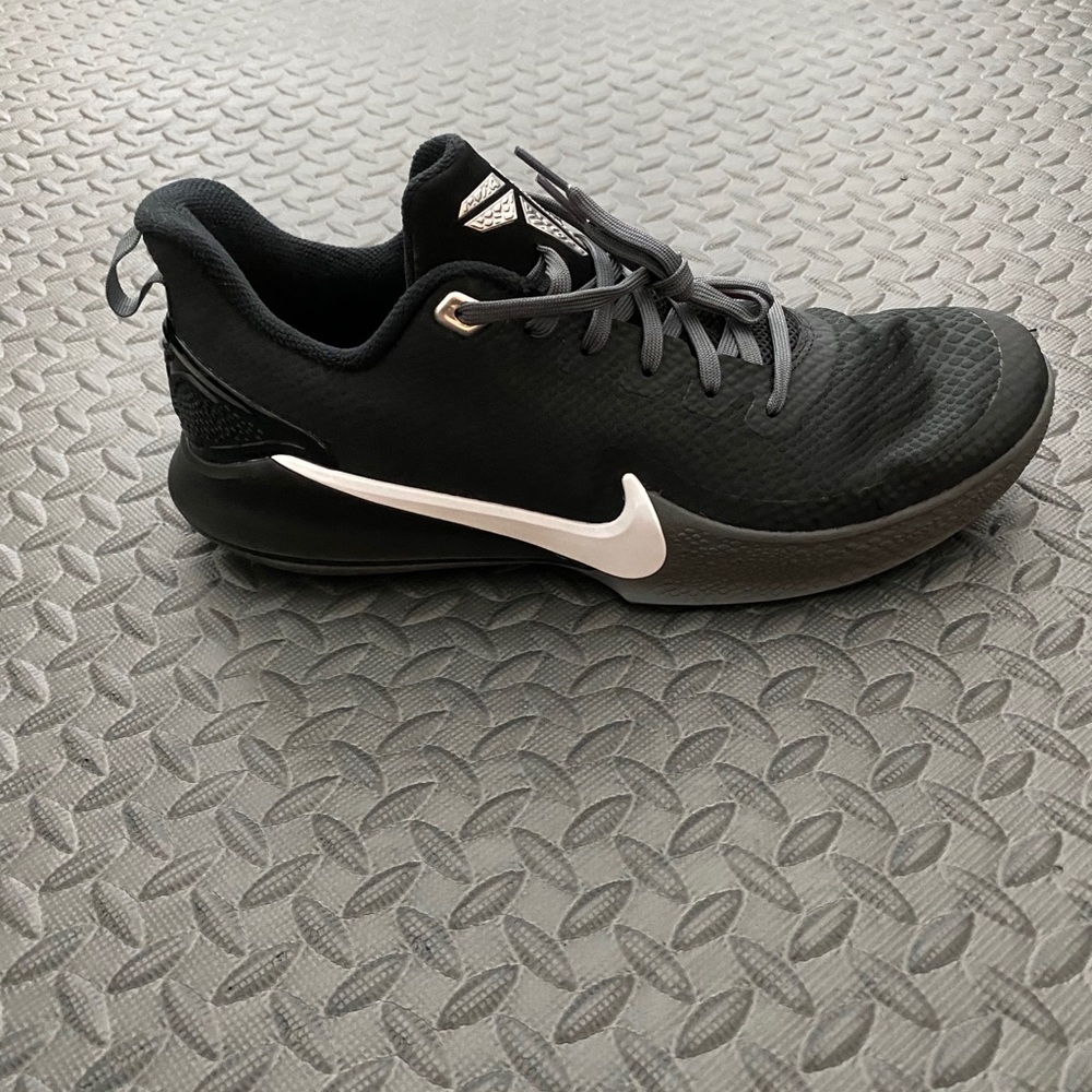 Mamba focus - Picture 2 of 4